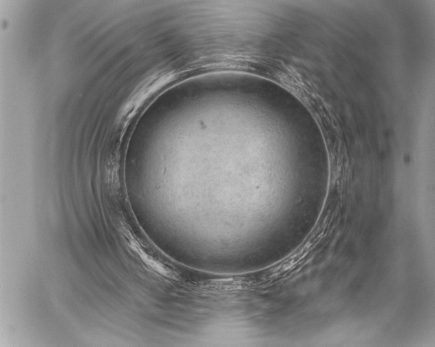 X0000059240050200510171442