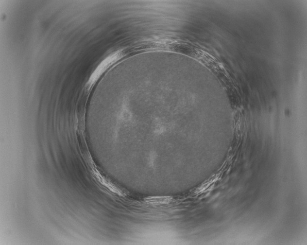 X0000059240051200510171442