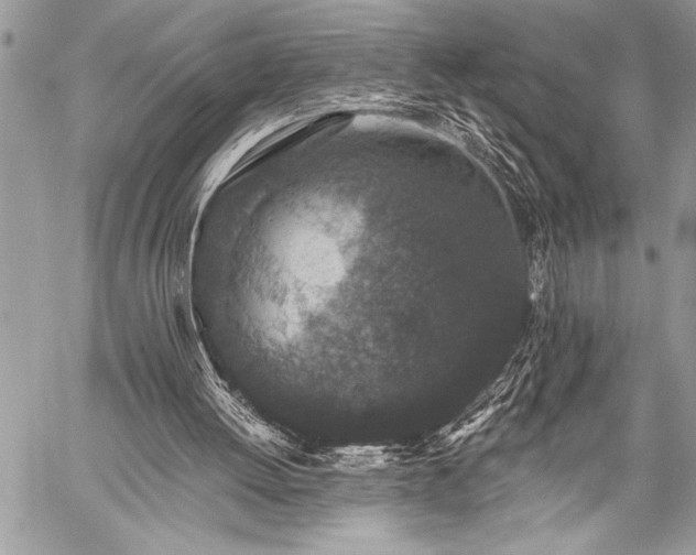 X0000059240052200510171442