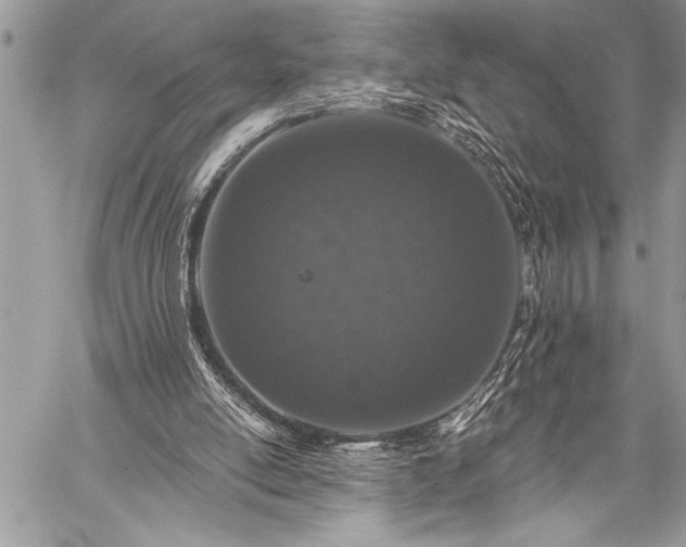 X0000059240054200510171442