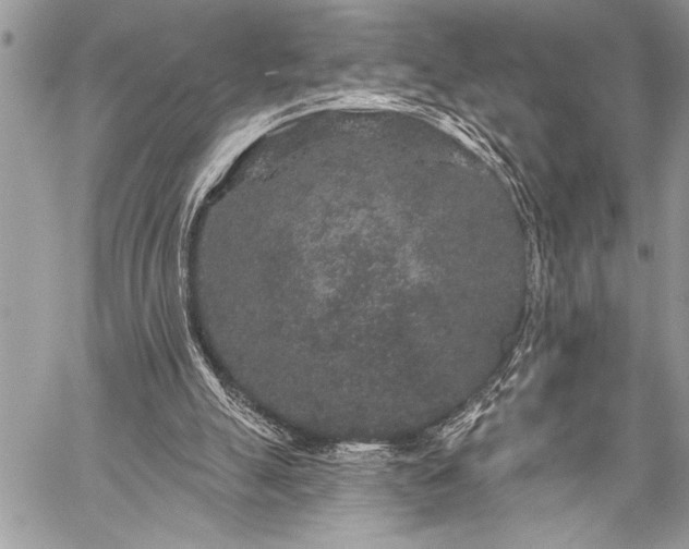 X0000059240055200510171442