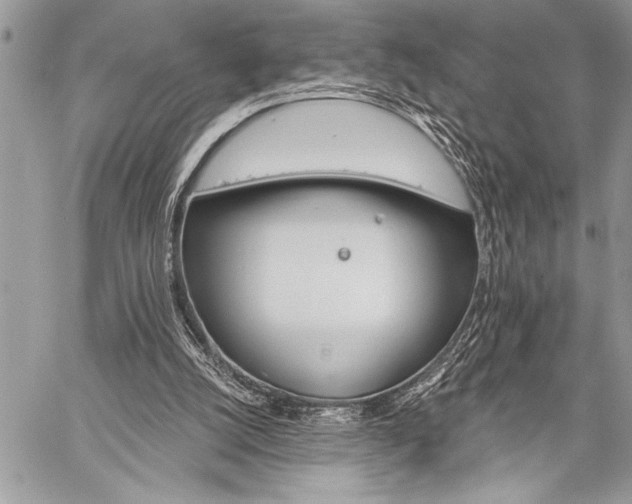 X0000059240056200510171442