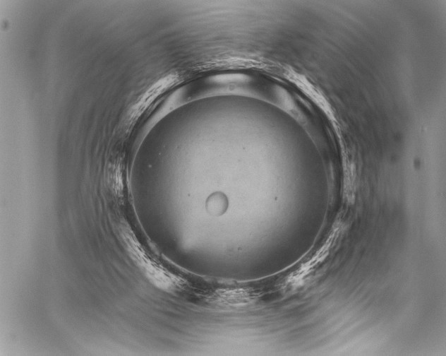 X0000059240057200510171442