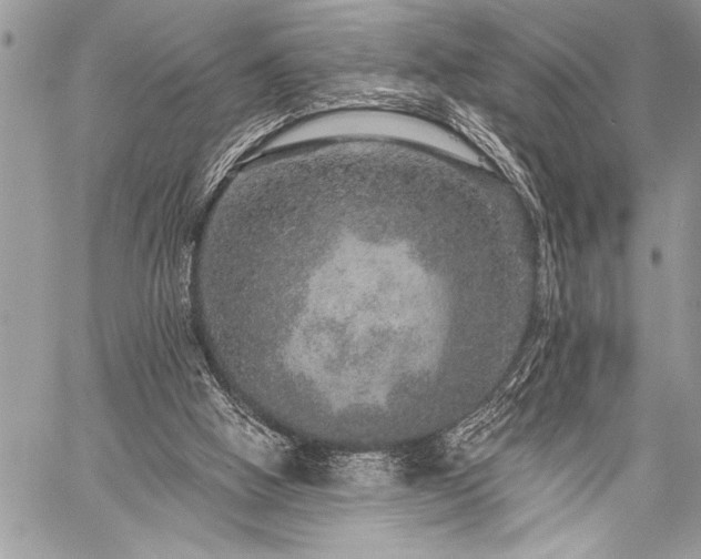 X0000059240058200510171442