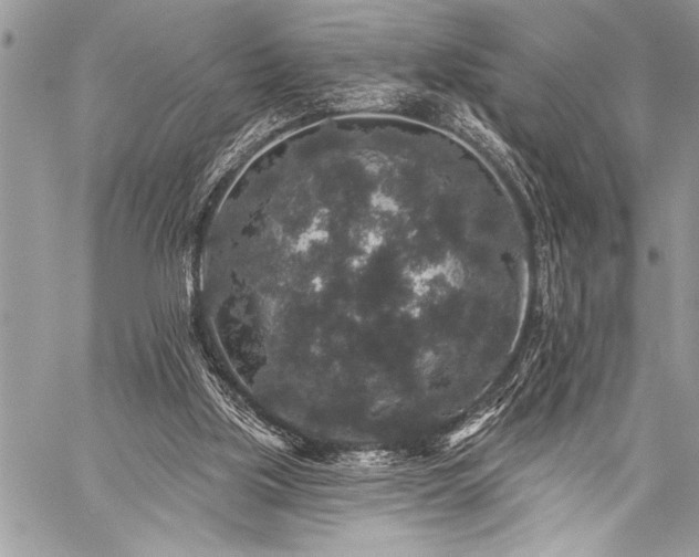 X0000059240059200510171442