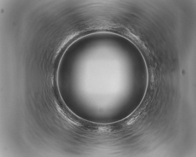 X0000059240060200510171442