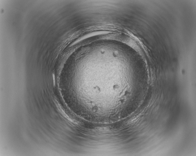 X0000059240061200510171442