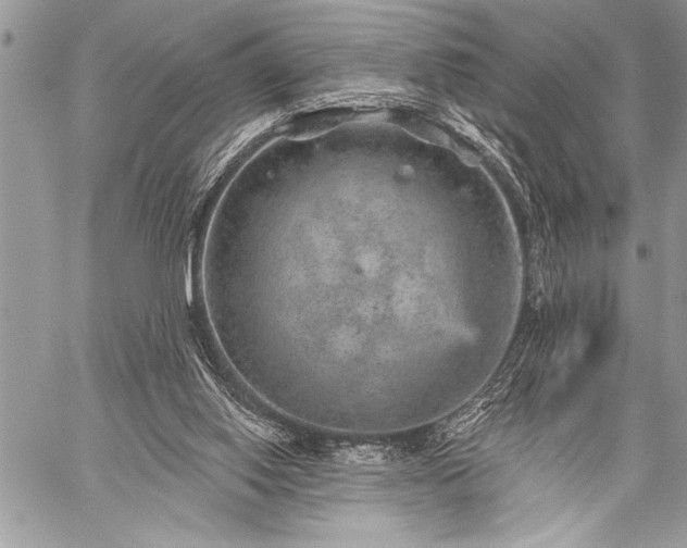 X0000059240062200510171442