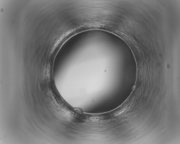 X0000059240064200510171442