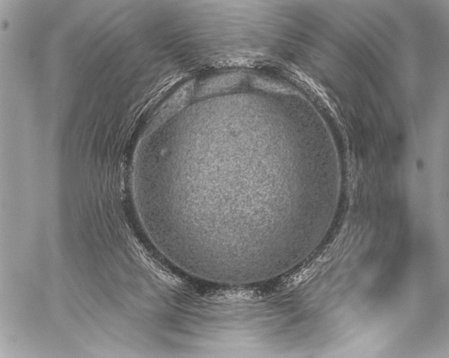 X0000059240065200510171442