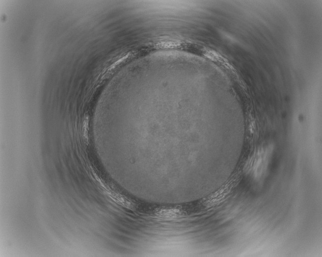 X0000059240066200510171442