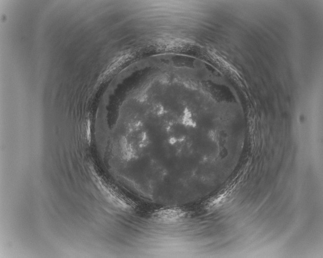 X0000059240067200510171442