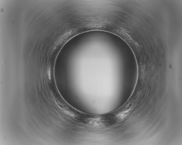 X0000059240068200510171442