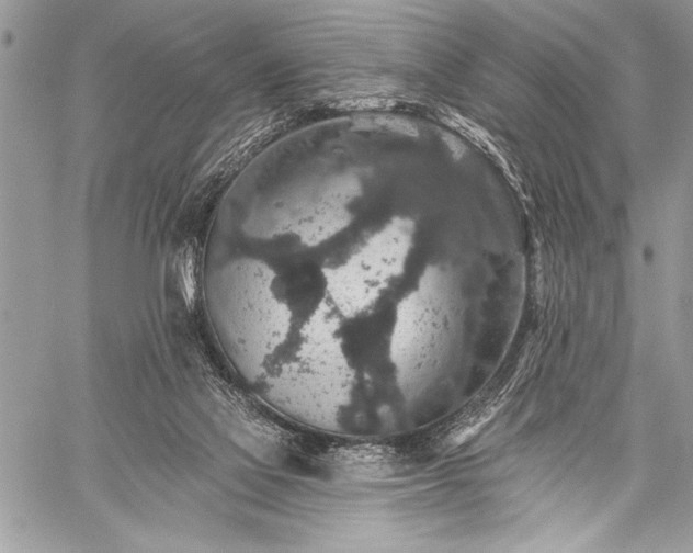 X0000059240069200510171442