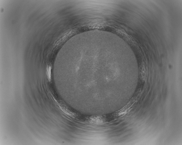 X0000059240070200510171442