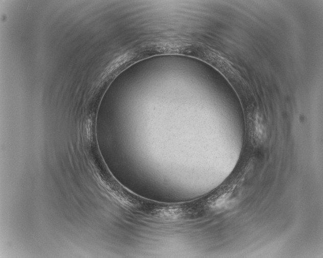 X0000059240071200510171442