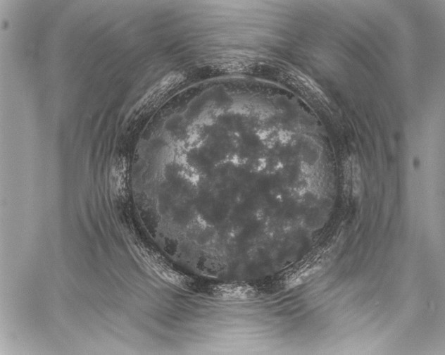 X0000059240073200510171442