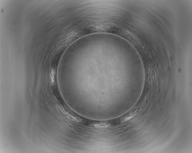 X0000059240075200510171442