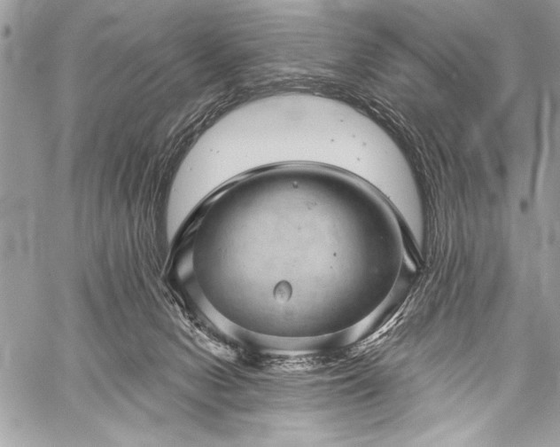 X0000059240078200510171442