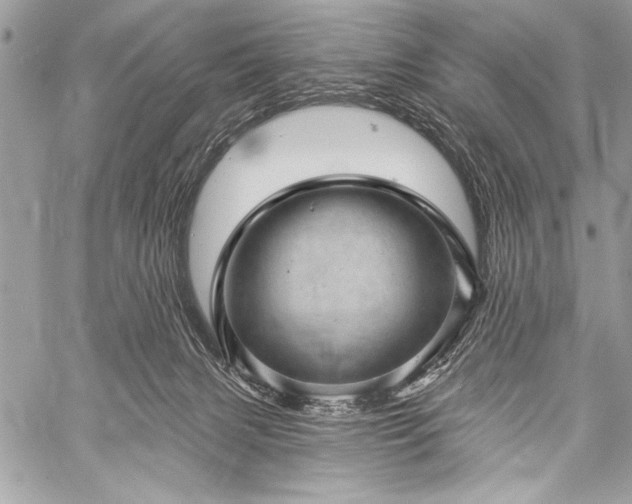 X0000059240079200510171442