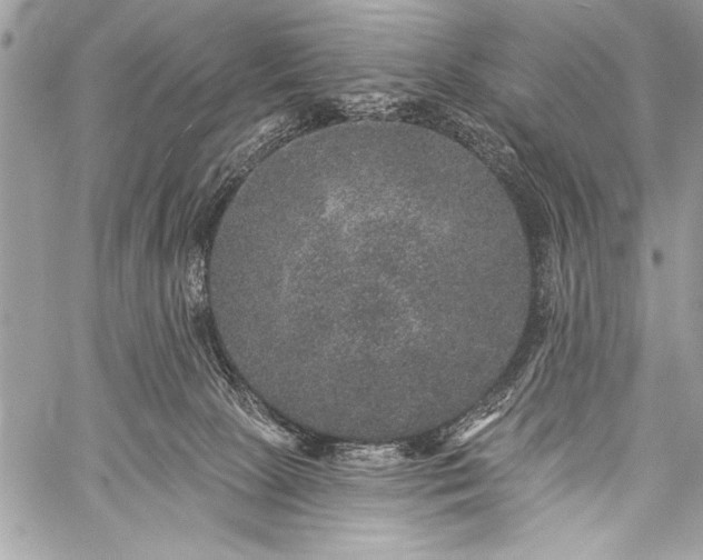 X0000059240081200510171442