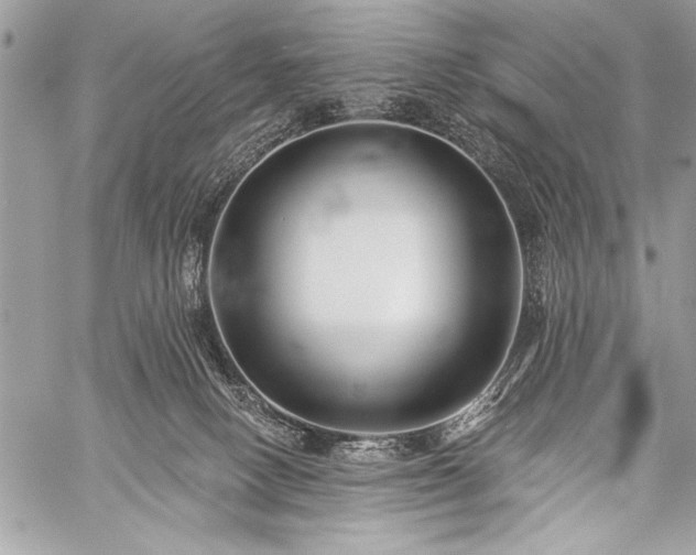 X0000059240082200510171442