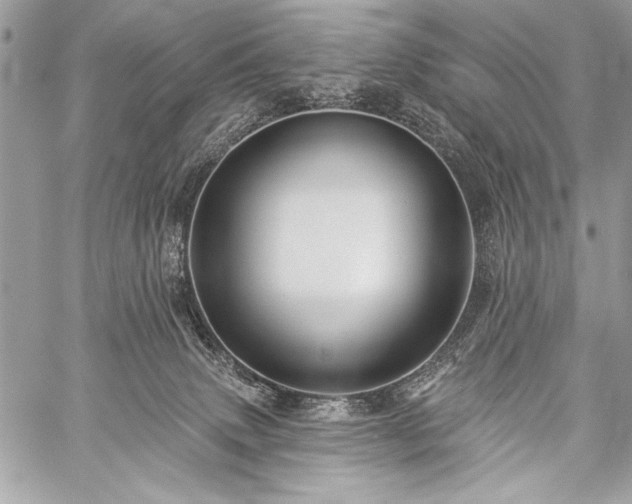 X0000059240083200510171442