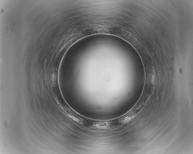 X0000059240084200510171442