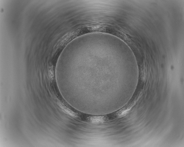 X0000059240085200510171442