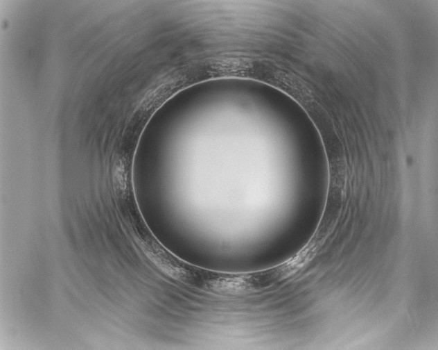 X0000059240086200510171442