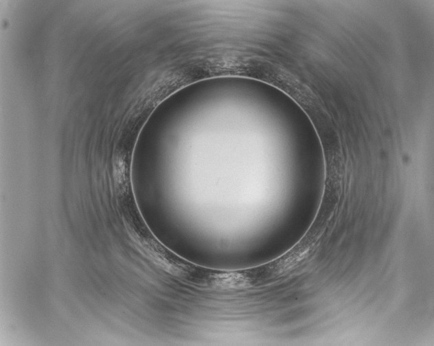 X0000059240087200510171443