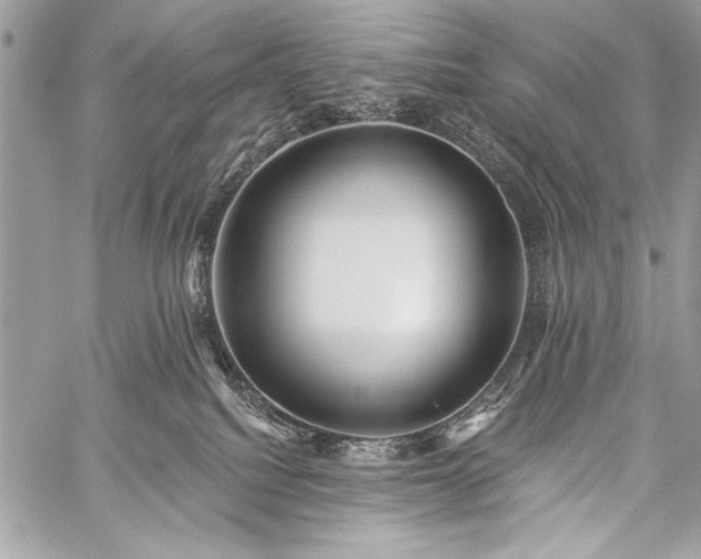 X0000059240088200510171443