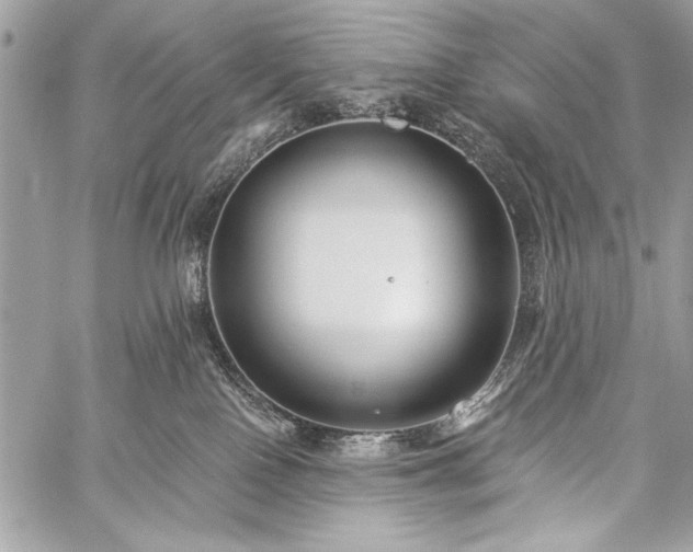 X0000059240090200510171443