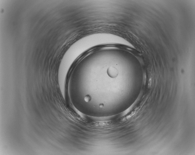 X0000059240091200510171443