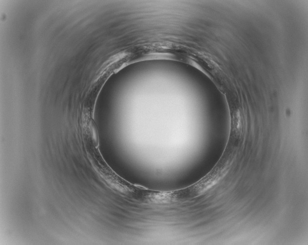 X0000059240092200510171443