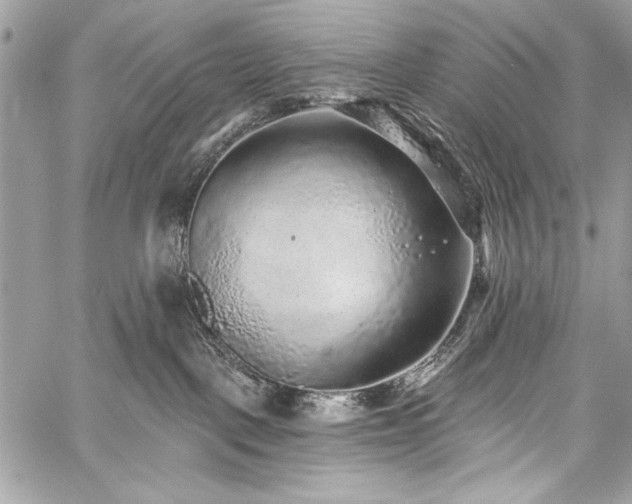 X0000059240093200510171443