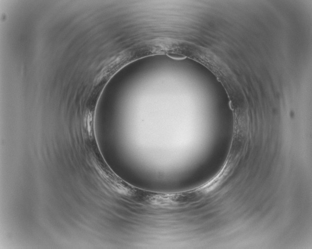 X0000059240094200510171443