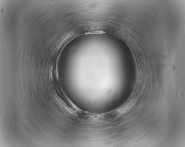 X0000059240096200510171443