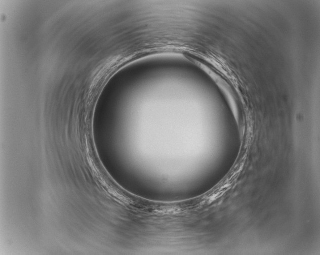 X0000059240097200510171442