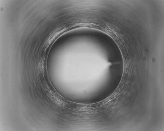 X0000059240098200510171442