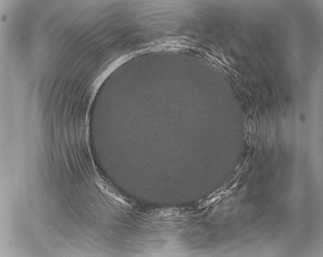 X0000059240100200510171442