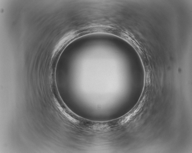 X0000059240101200510171442