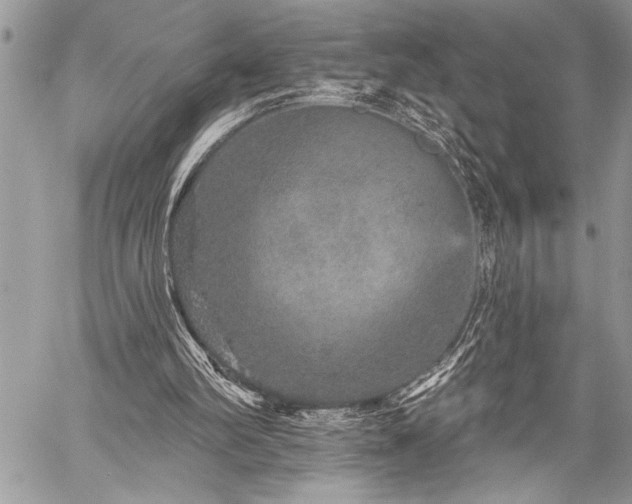 X0000059240102200510171442