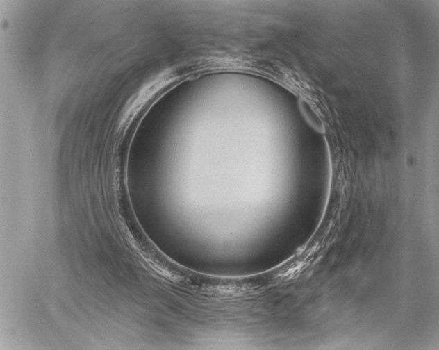 X0000059240103200510171442