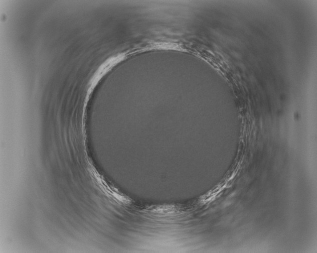 X0000059240104200510171442