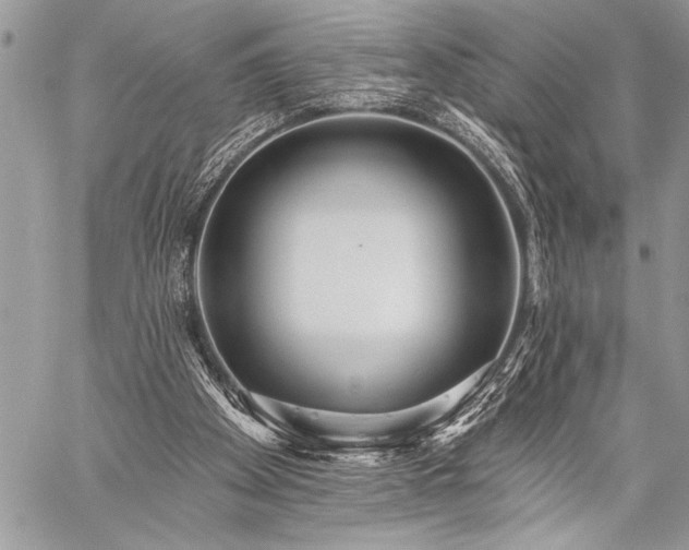 X0000059240105200510171442