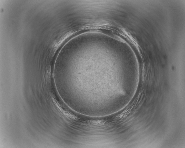 X0000059240107200510171442