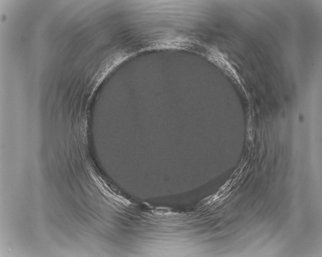 X0000059240108200510171442