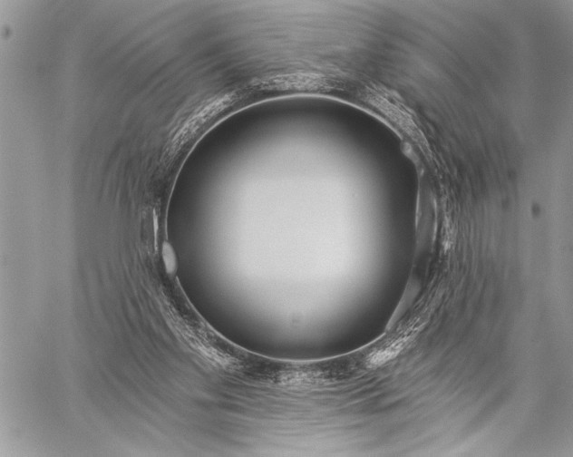 X0000059240109200510171442