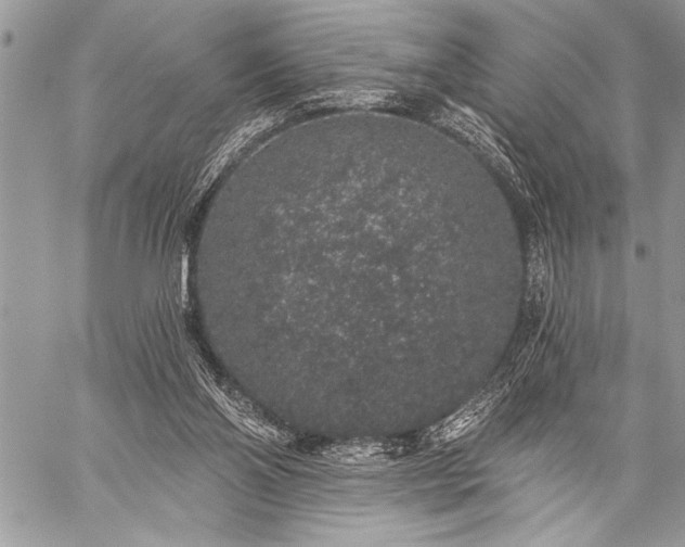 X0000059240110200510171442